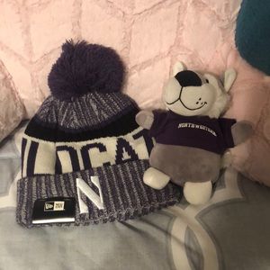 NWT Northwestern Wildcats Pom Beanie, plus bonus little wildcat plushie!